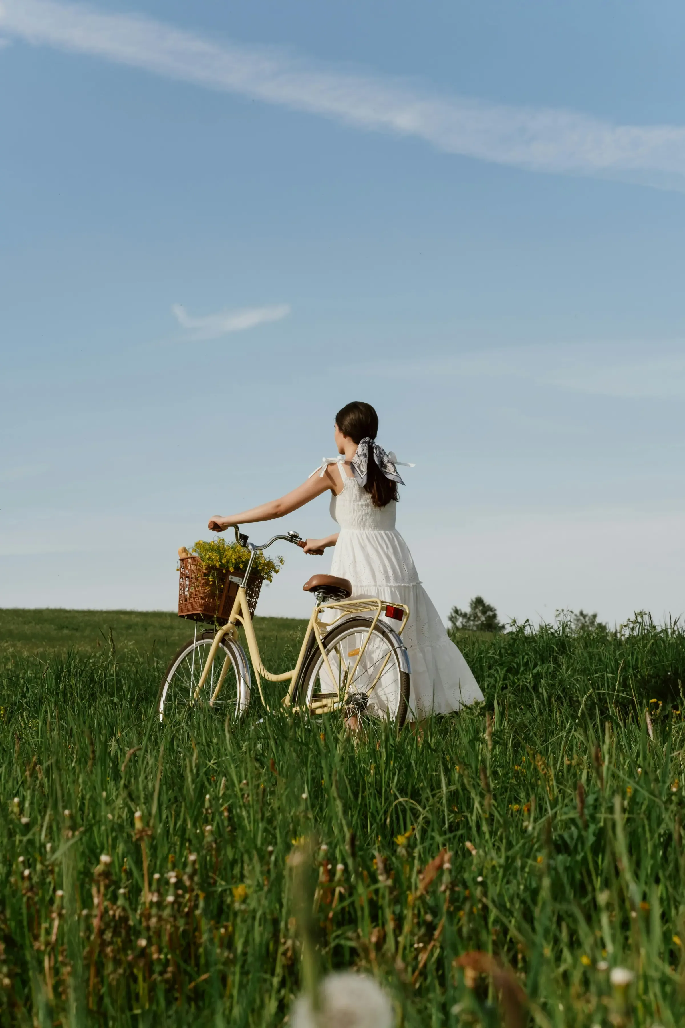 Bellaro at Palmetto lifestyle — scenic countryside living